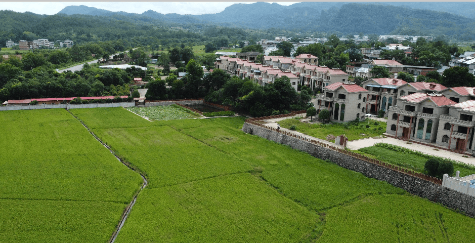 翰墨稻藝(yì)联手腾讯：让LOL英(yīng)雄(xióng)“紥(zhā)根”瑞金(jīn)老区，绘就助农新圖(tú)景